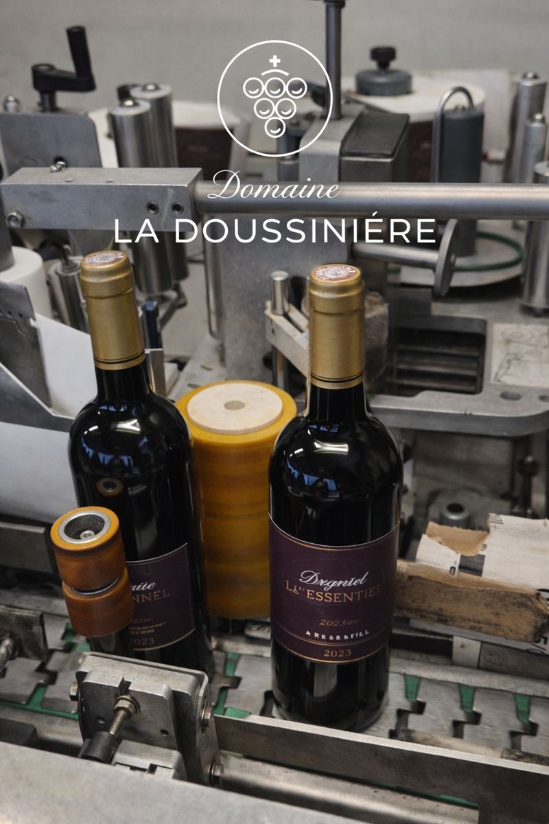 🍷 La mise en bouteille : une étape clé, bien plus technique qu’il n’y paraît